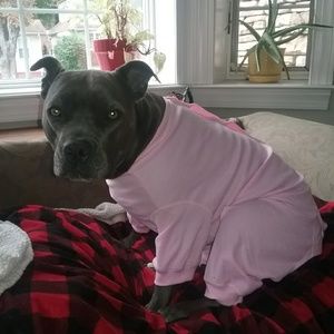 Meet your Posher, Liz